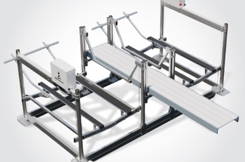 Double PWC lift with dual V cradles and adjustable gangway dock